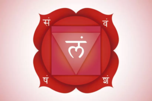 El primer chakra, chakra raiz, Muladhara